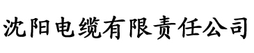 国产精品无码无需播放器电缆厂logo